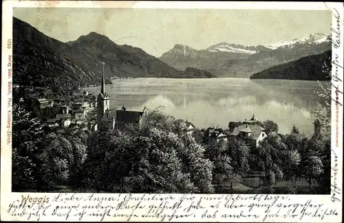 Ak Weggis Kanton Luzern, Blick auf den Ort