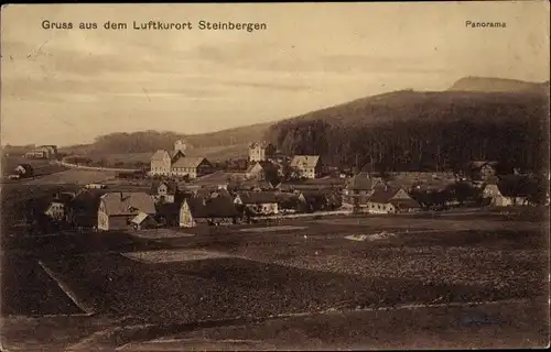 Ak Steinbergen Rinteln in Niedersachsen, Panorama