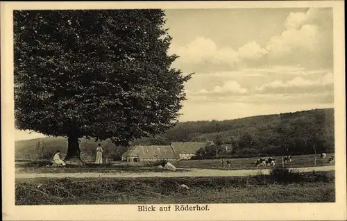 Ak Röderhof Diekholzen in Niedersachsen, Gut, Kapelle, Waldrestaurant