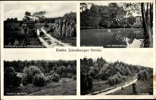 Ak Eimke im Landkreis Uelzen, Heidepartie, Mühlenteich, Wacholdergruppe