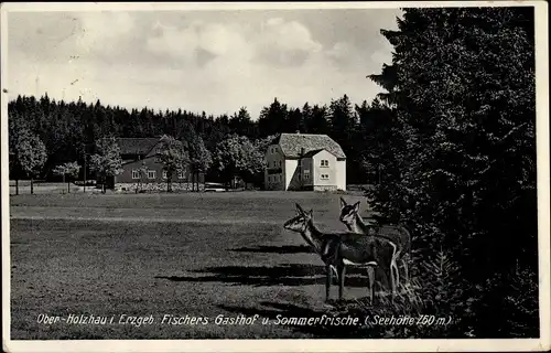 Ak Ober Holzhau Rechenberg Bienenmühle Erzgebirge, Fischers Gasthof, Rehe am Waldrand