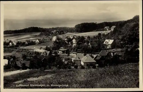 Ak Steinbergen Rinteln in Niedersachsen, Panorama