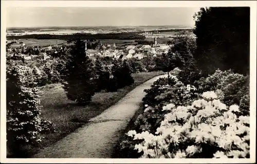 Ak Kamenz Sachsen, Blick vom Hutberg, Azaleen Anlagen