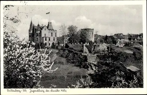 Ak Dattenberg in Rheinland Pfalz, Jugendburg