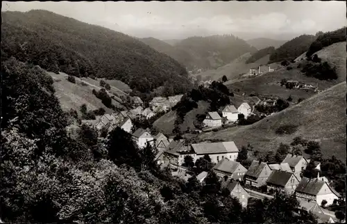 Ak Lerbach Osterode am Harz, Panorama