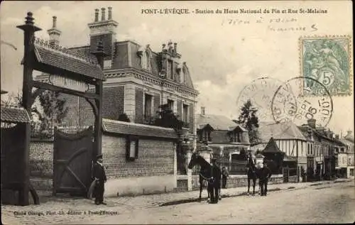 Ak Pont L'Eveque Calvados, Station du Haras National du Pin et Rue Sainte Melaine