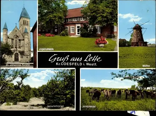 Ak Lette Coesfeld in Westfalen, Mühle, Naturlehrpfad, Sankt Johannes Kirche, Jugendheim