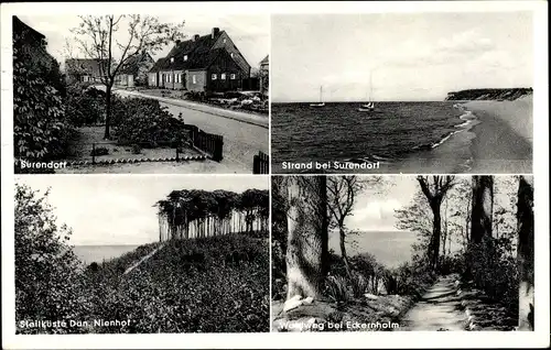 Ak Surendorf Schwedeneck in Schleswig Holstein, Strand, Waldweg bei Eckerholm, Steilküste