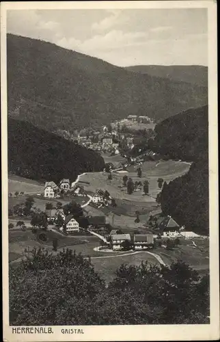 Ak Bad Herrenalb im Schwarzwald, Gaistal, Panorama