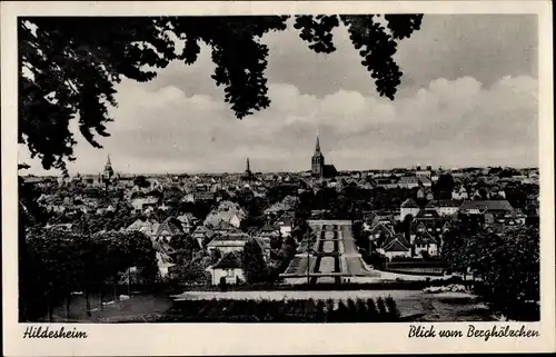 Ak Hildesheim in Niedersachsen, Blick vom Burghölzchen