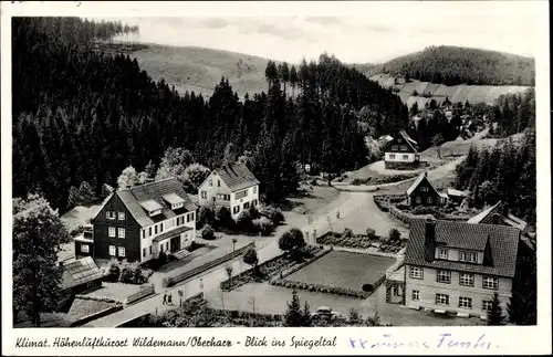 Ak Wildemann Clausthal Zellerfeld im Oberharz, Blick ins Spiegeltal