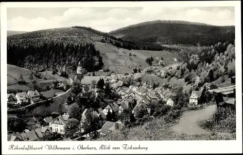 Ak Wildemann Clausthal Zellerfeld im Oberharz, Blick vom Zickzackberg