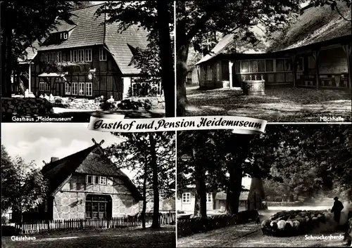 Ak Wilsede Bispingen in der Lüneburger Heide, Gast-und Pensionshaus Heidemuseum, Schnuckenherde