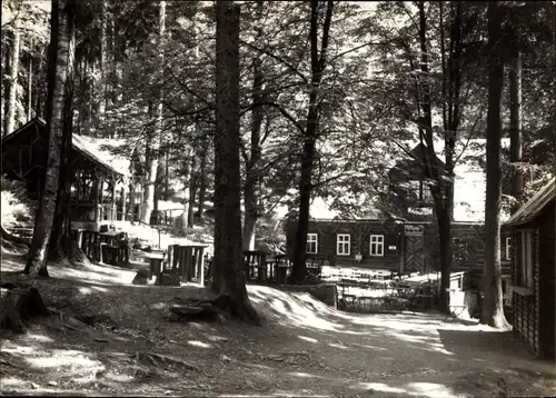 Ak Waschleithe Grünhain Beierfeld im Erzgebirge, Köhlerhütte Fürstenbrunn, Waldpartie