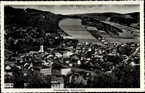 Ak Jeseník Freiwaldau Region Olmütz, Panorama
