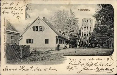 Ak Gernrode Quedlinburg im Harz, Viktorshöhe, Aussichtsturm