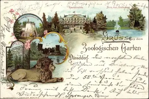 Litho Düsseldorf am Rhein, Zoologischer Garten, Löwe, Restauration, Grafenberg, Elefantenhaus