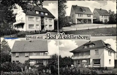 Ak Bad Waldliesborn Lippstadt Nordrhein Westfalen, Haus Hubertus, Paßgang, Berlin