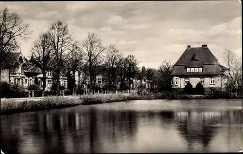 Ak Wittenburg in Mecklenburg, Karl Marx Straße, Ententeich