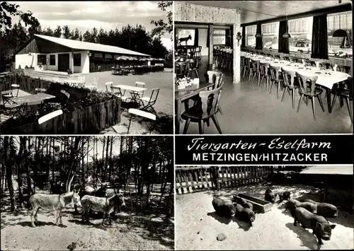 Ak Metzingen Göhrde in Niedersachsen, Tiergarten Eselfarm