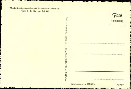 Ak Sebnitz in Sachsen, Alteste Kunstblumenschau, Firma C. F. Sturm