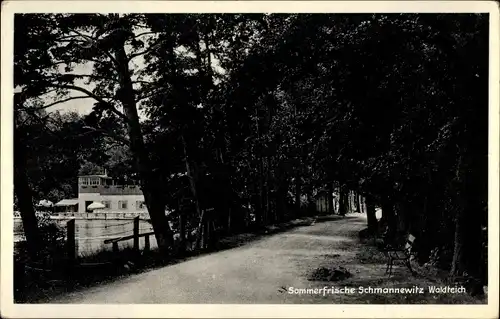 Ak Schmannewitz Dahlen in Sachsen, Waldteich, Gasthaus