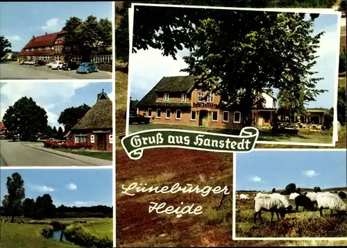 Ak Hanstedt in der Lüneburger Heide, Hotel, Gasthaus, Heidschnucken
