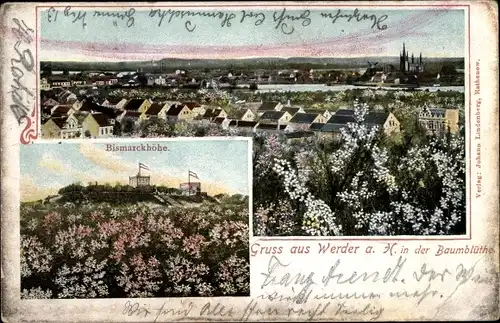 Ak Werder an der Havel, Bismarckhöhe, Panorama