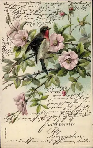 Präge Litho Vogel auf einem Heckenrosenzweig