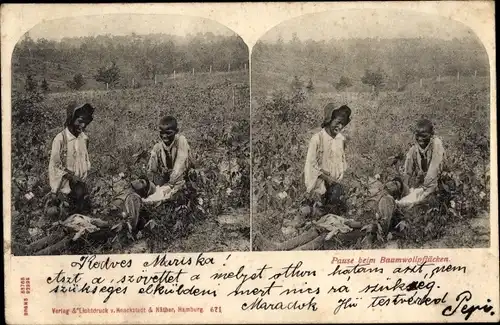 Stereo Ak Pause beim Baumwollpflücken, Baumwollpflücker