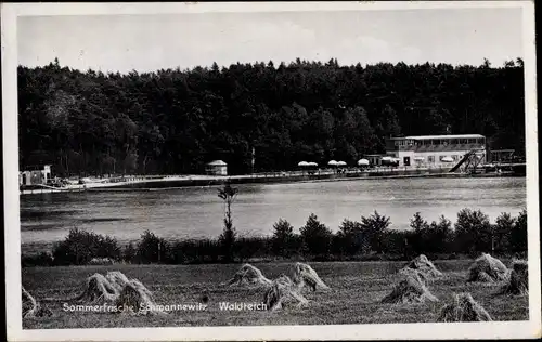 Ak Schmannewitz Dahlen in Sachsen, Waldteich, Gasthaus