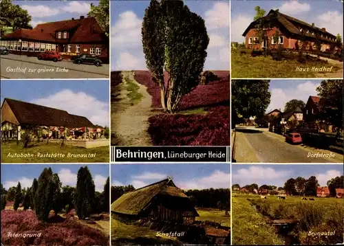 Ak Behringen Bispingen in Niedersachsen, Gasthaus Zur grünen Eiche, Haus Heidhof, Totengrund