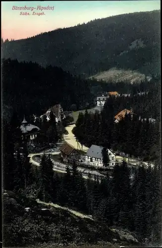 Ak Bärenburg Kipsdorf Altenberg im Erzgebirge, Blick auf den Ort