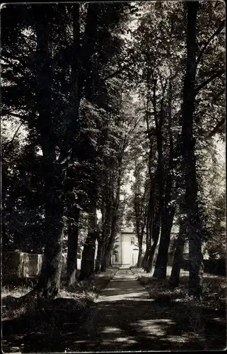 Ak Neudietendorf in Thüringen, Parkpartie