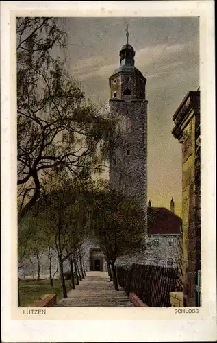 Ak Lützen im Burgenlandkreis, Schloss