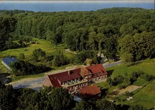 Ak Dänisch Nienhof Schwedeneck in Schleswig Holstein, Hotel Zur Schmiede, Wald