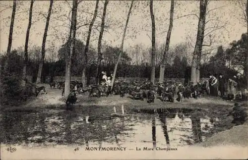 Ak Montmorency Val d’Oise, La Mare Champeaux