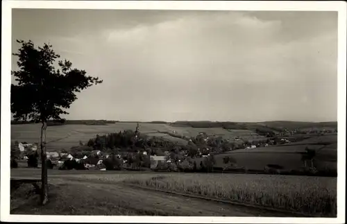 Ak Untertriebel Triebel Oelsnitz im Vogtland, Panorama