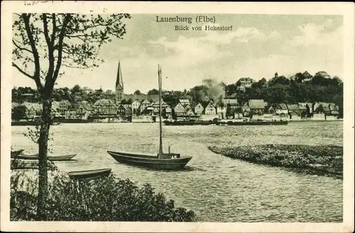 Ak Lauenburg an der Elbe, Blick von Hohnstorf