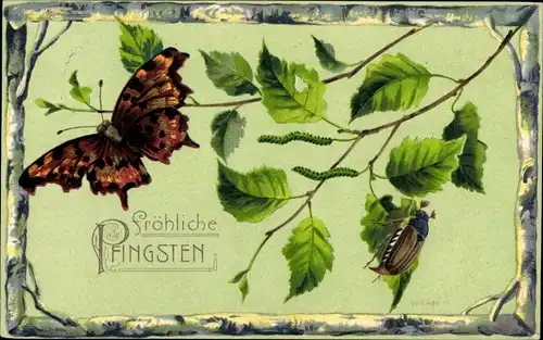 Litho Glückwunsch Pfingsten, Maikäfer, Birken, Schmetterling