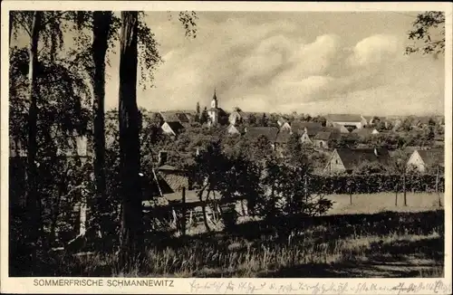 Ak Schmannewitz Dahlen in Sachsen, Teilansicht