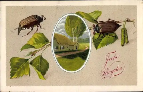 Präge Litho Glückwunsch Pfingsten, Maikäfer, Birkenast, Bauernhaus