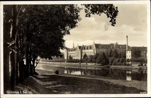 Ak Grimma in Sachsen, Partie am Flussufer