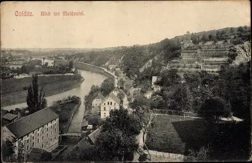 Ak Colditz in Sachsen, Panorama vom Ort mit Muldetal, Restaurant Hainburg