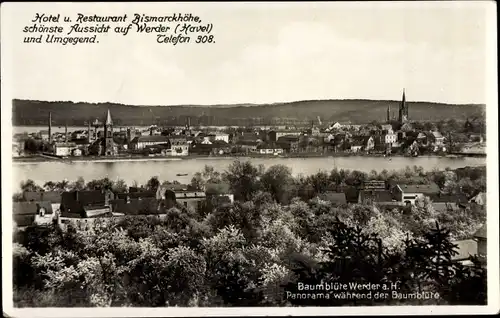 Ak Werder an der Havel, Panorama, Baumblüte, Restaurant Bismarckhöhe
