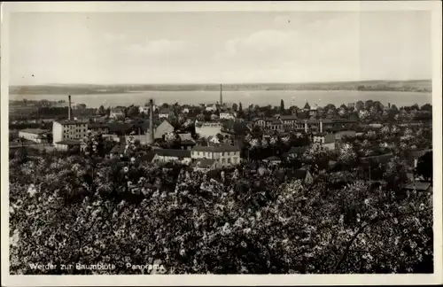 Ak Werder an der Havel, Panorama, Baumblüte