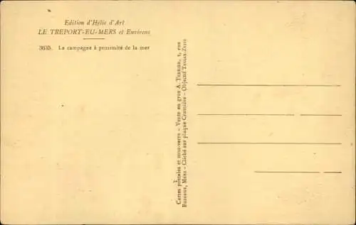 Ak Le Treport eu Mers Seine Maritime, La campagne a proximite de la mer