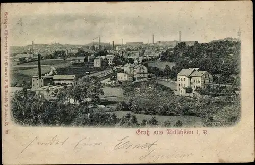 Relief Ak Netzschkau im Vogtland, Panorama