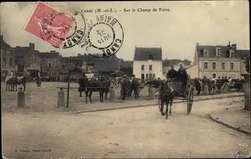 Ak Cande Maine et Loire, Sur le Champ de Foire, voiture à cheval, vaches