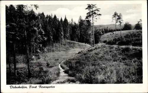 Ak Sottorf Rosengarten Niedersachsen, Diebeskuhlen, Harburger Berge